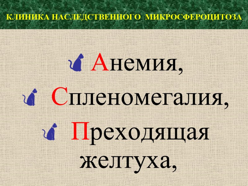 КЛИНИКА НАСЛЕДСТВЕННОГО  МИКРОСФЕРОЦИТОЗА  Анемия,  Спленомегалия,  Преходящая желтуха,